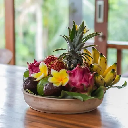The Shea Ubud Tranquility Villa With Private Pool Exterior photo