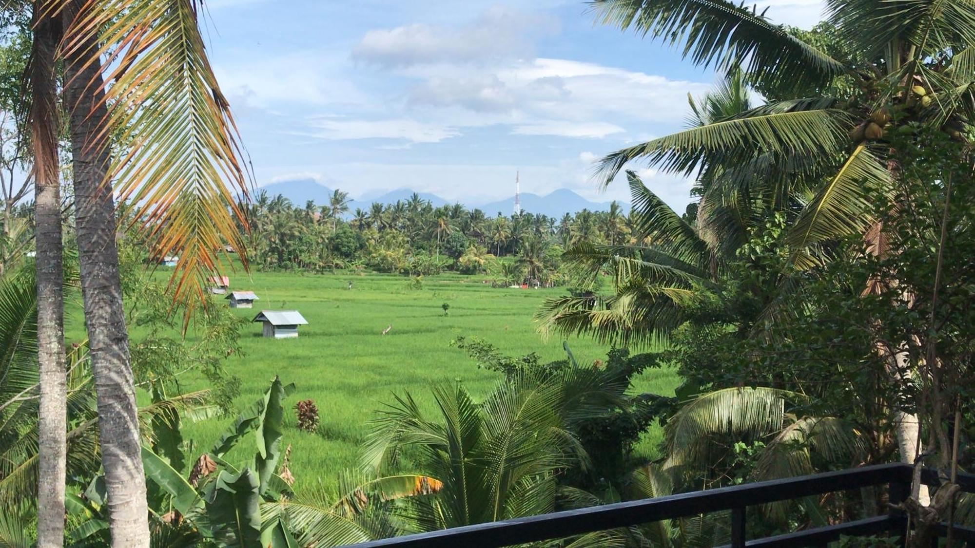 Villa The Shea Tranquility With Private Pool Ubud (Bali)